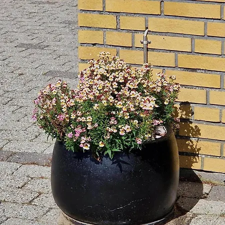 Lf14127-roslev-kybehuse-127 רוסלב